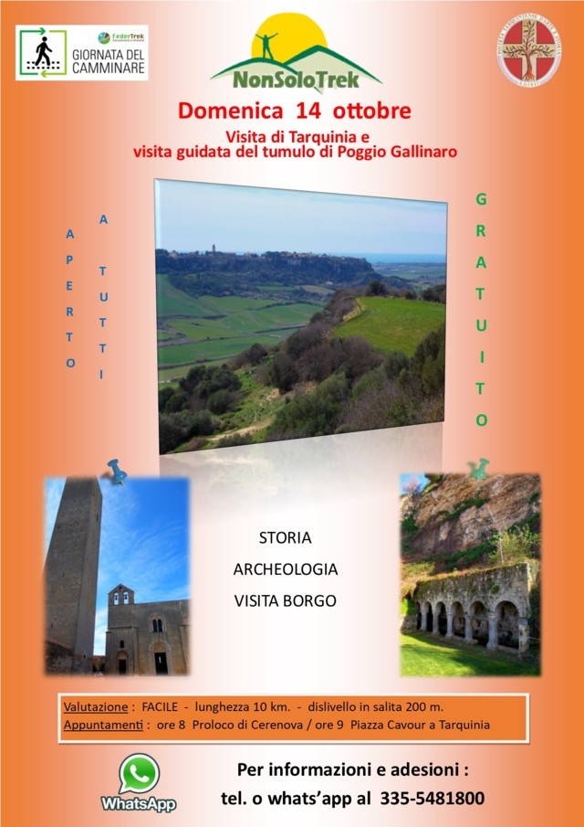 Visita di Tarquinia e visita guidata del tumulo etrusco di Poggio Gallinaro