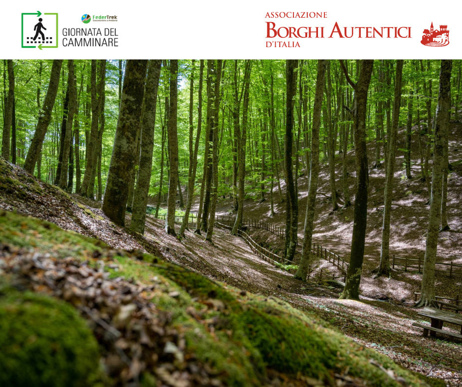 SERRASTRETTA - MONTAGNA